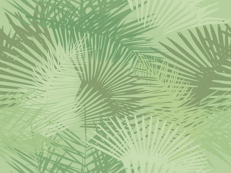 Fototapeta Palmblattzweige