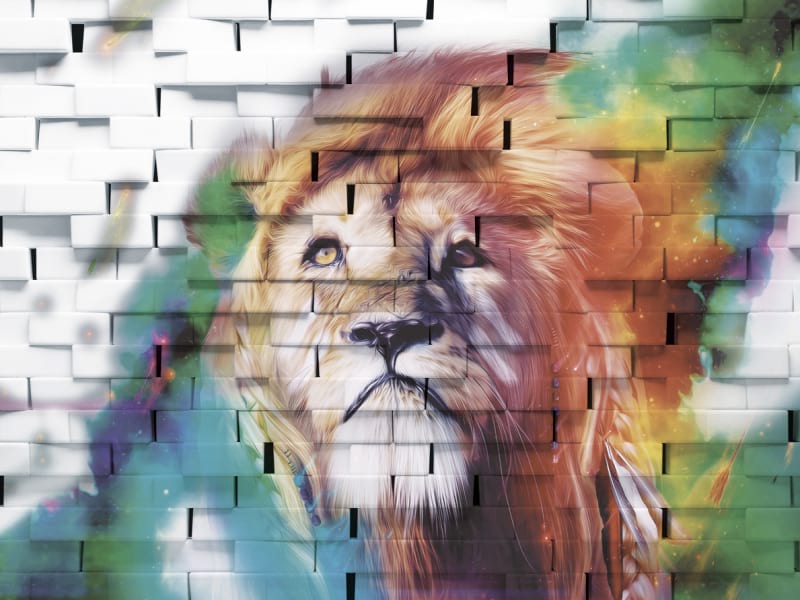 Fototapeta Regenbogenlöwe