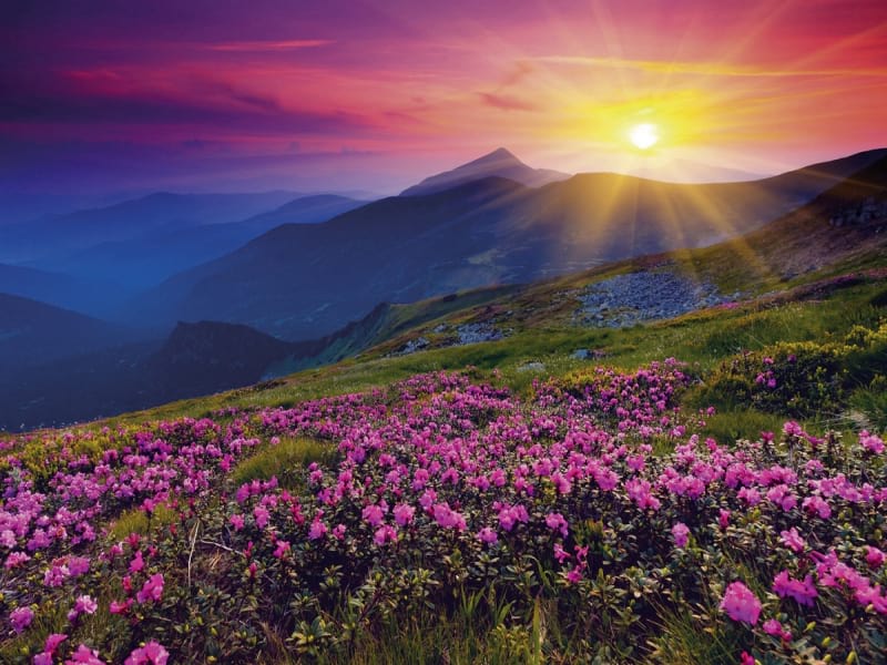Fototapeta Morgensonnenaufgang in den Bergen