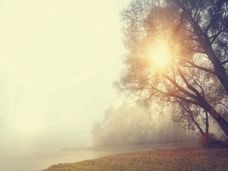 Fototapeta Abendnebel