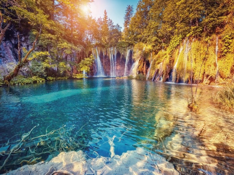 Fototapeta Wasserfall im Herbstwald