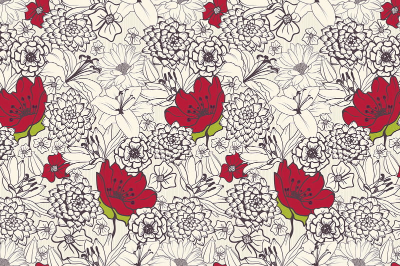 Fototapeta Malerische scharlachrote Blüten