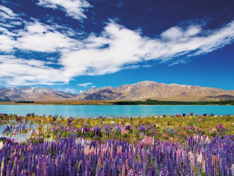Fototapeta Natur Islands
