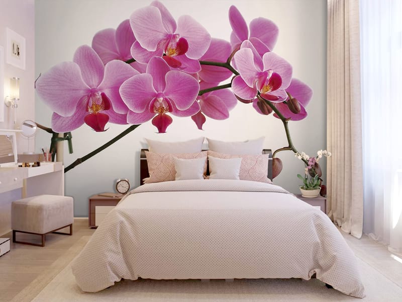 Fototapeta Volumetrische Orchidee we wnętrzu sypialni