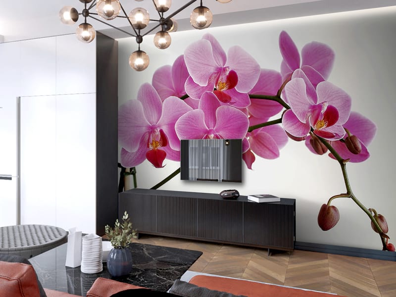 Fototapeta Volumetrische Orchidee we wnętrzu salonu