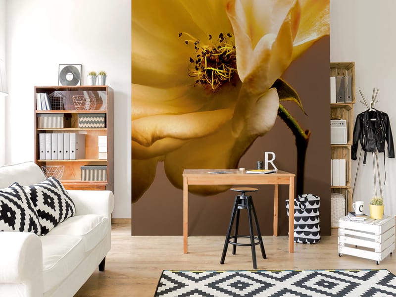 Fototapeta Bronzeblume we wnętrzu salonu