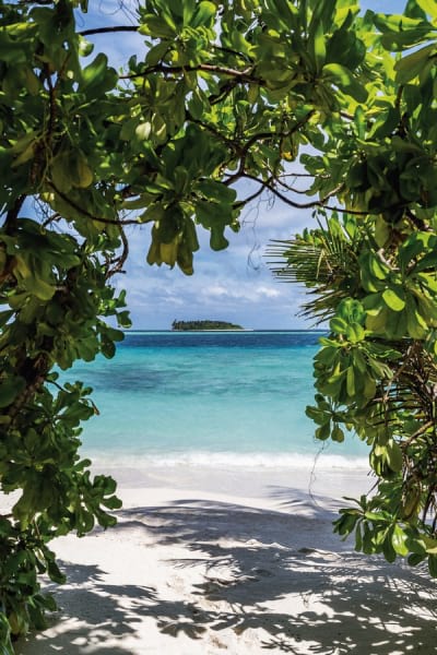 Fototapeta Grüner Bogen am Strand