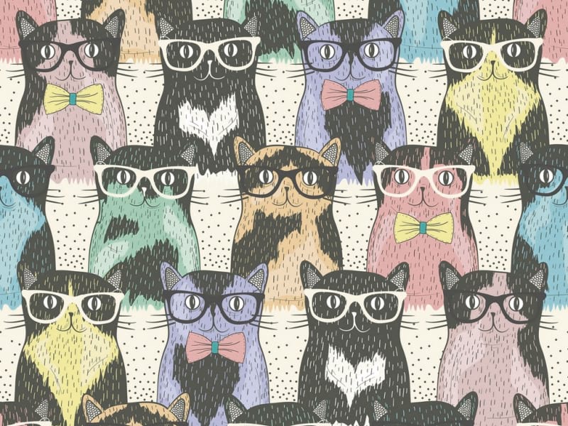 Fototapeta Intelligente Katzen