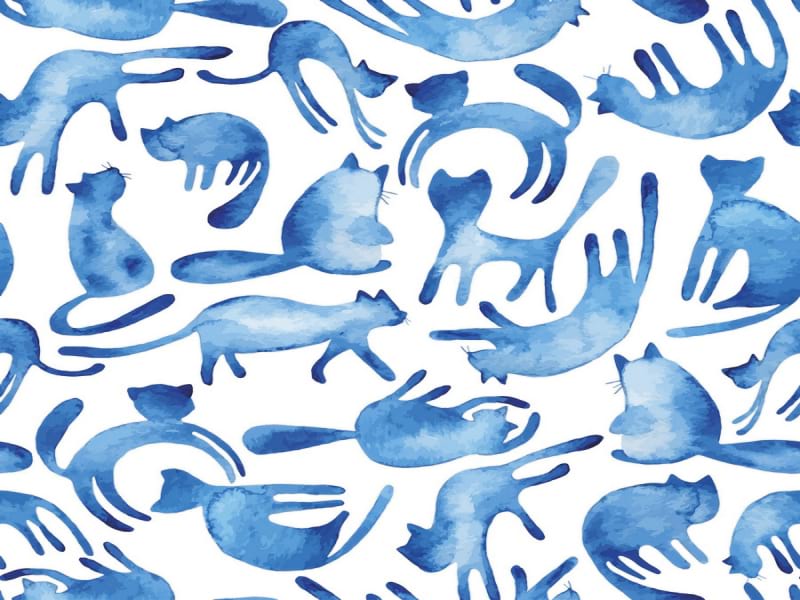Fototapeta Aquarellkatzen
