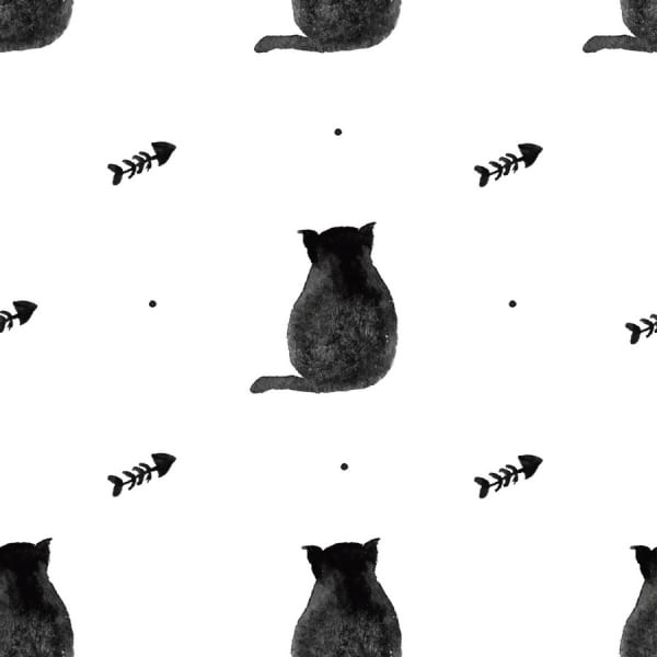 Fototapeta Gut genährte Katzen