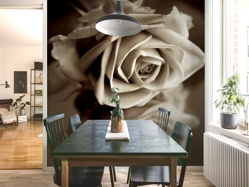 Fototapeta Rosenreflexion we wnętrzu kuchni