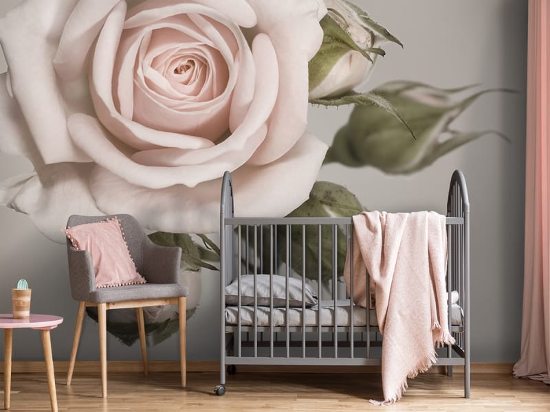 Fototapeta Zarte Rose we wnętrzu pokoju dziecka