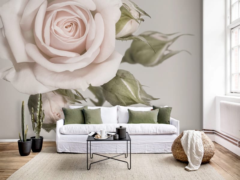 Fototapeta Zarte Rose we wnętrzu salonu