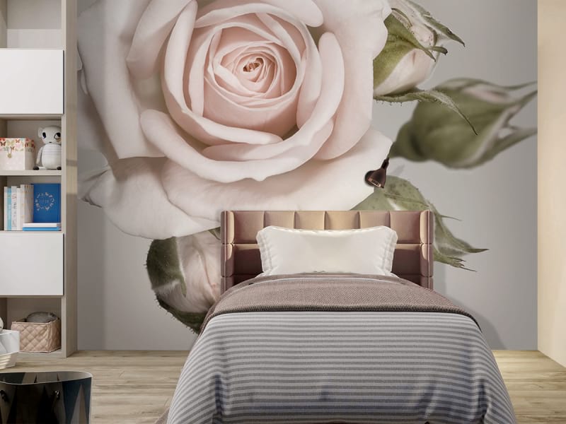 Fototapeta Zarte Rose we wnętrzu pokoju nastolatka