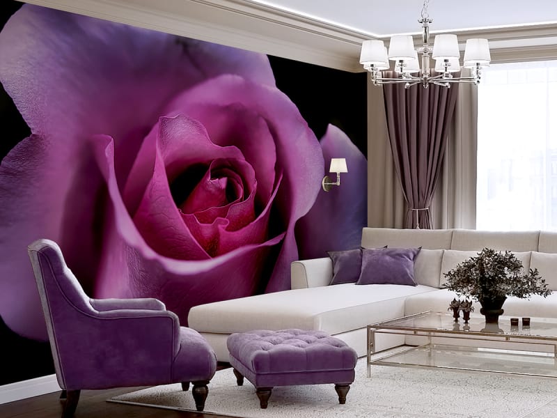 Fototapeta Große schöne Rose we wnętrzu salonu