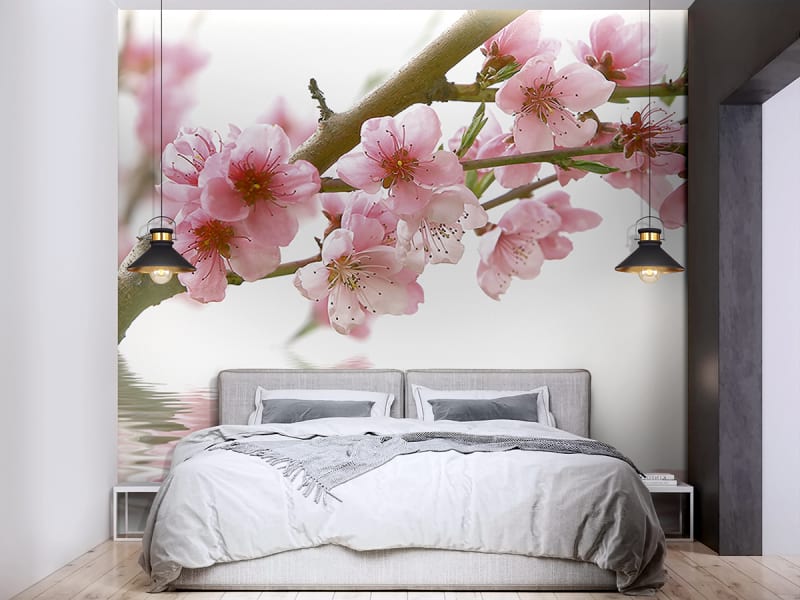 Fototapeta Sakura über Wasser we wnętrzu sypialni