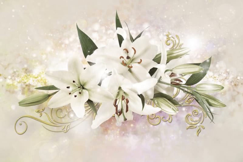 Fototapeta Schillernde Lilien
