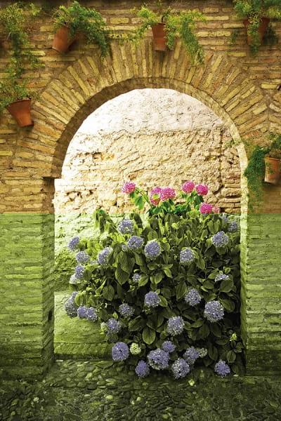 Fototapeta Blumenbogen