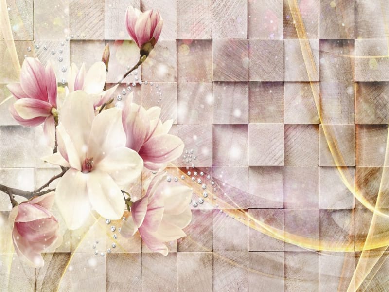 Fototapeta Anmutige Magnolien