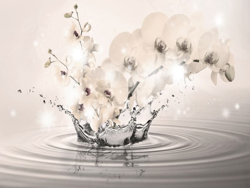 Fototapeta 3D-Orchidee