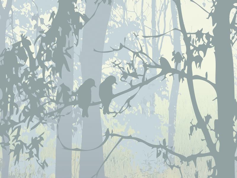 Fototapeta Äste fragment #2