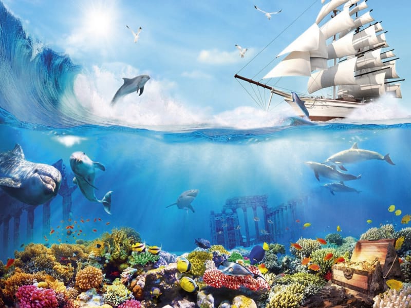 Fototapeta Schiff und Delfine