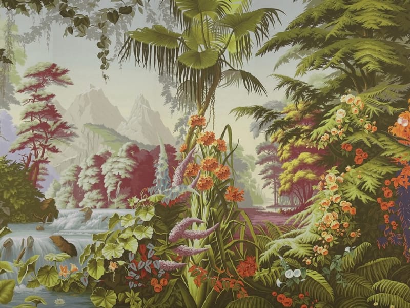 Fototapeta Regenwaldzeichnung
