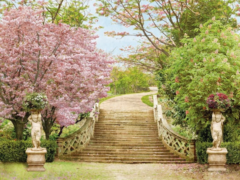 Fototapeta Treppen im Garten