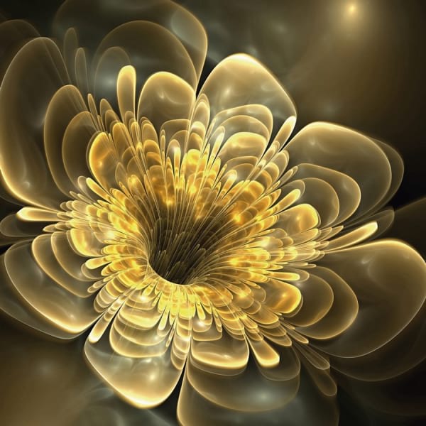 Fototapeta Goldene Blume