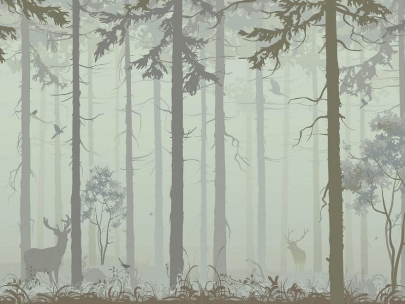 Fototapeta Hirsche im nebligen Wald