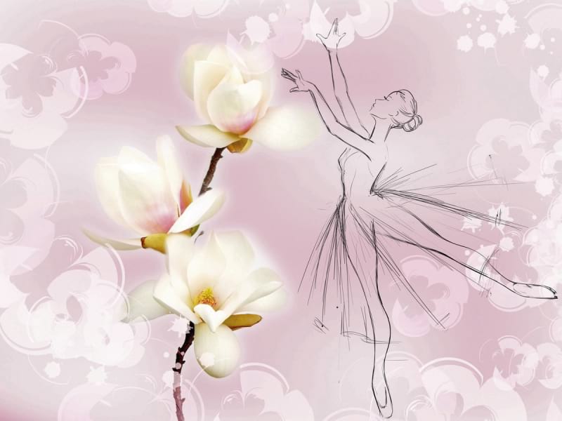 Fototapeta Magnolien und Ballerina