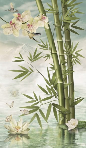 Fototapeta Orchideen und Seerosen