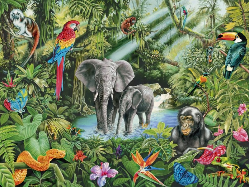 Fototapeta Tropische Tiere