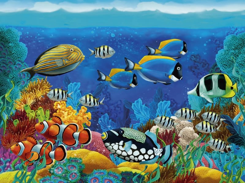 Fototapeta Schwimmender Fisch
