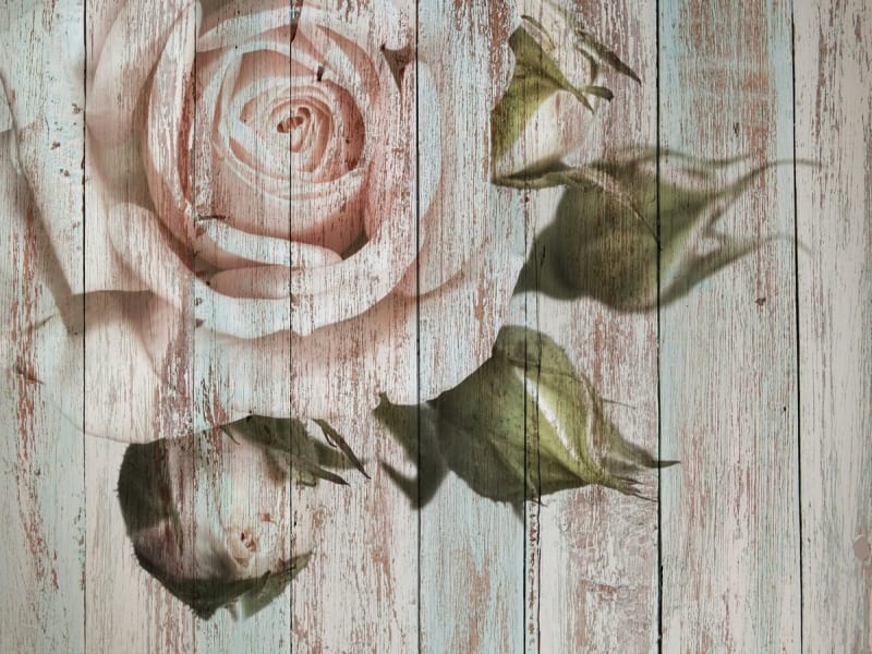 Fototapeta Rosenzeichnung auf Holz