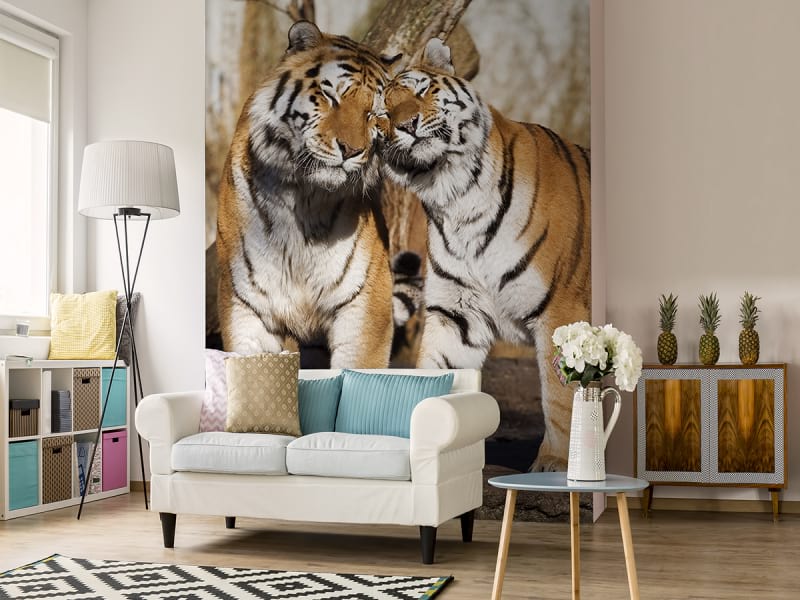 Fototapeta Ein paar Tiger we wnętrzu salonu