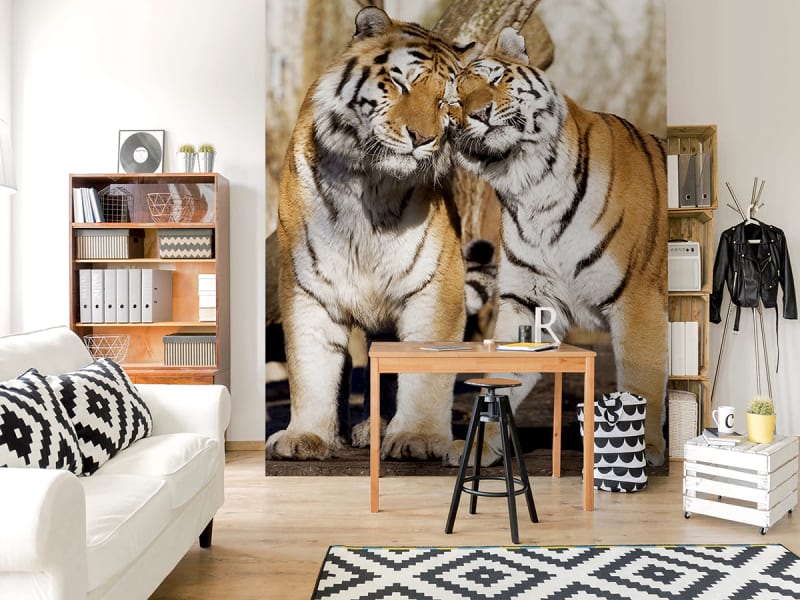 Fototapeta Ein paar Tiger we wnętrzu pokoju nastolatka