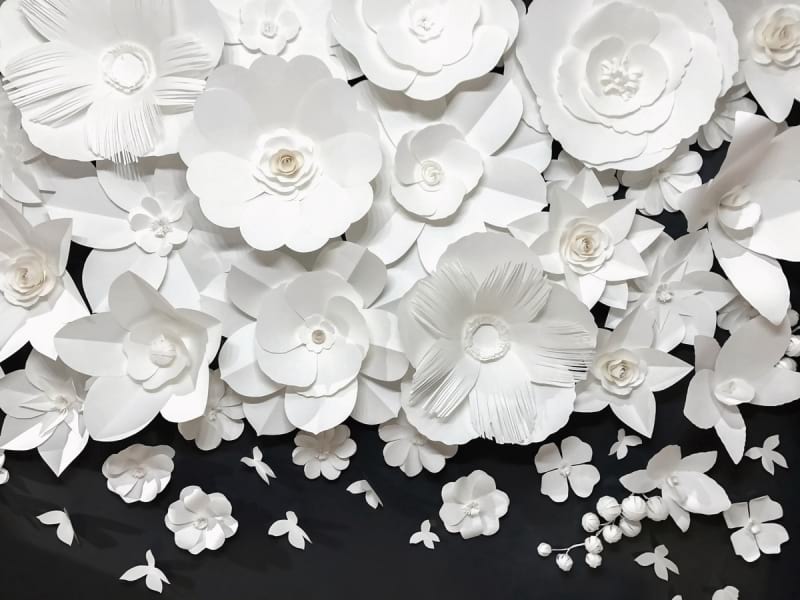 Fototapeta Weiße Blumen 3D