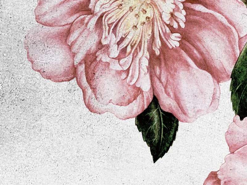 Fototapeta Luxuriöse rosa Blüten fragment #2