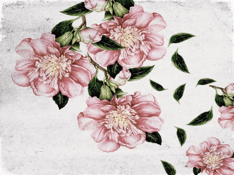 Fototapeta Luxuriöse rosa Blüten