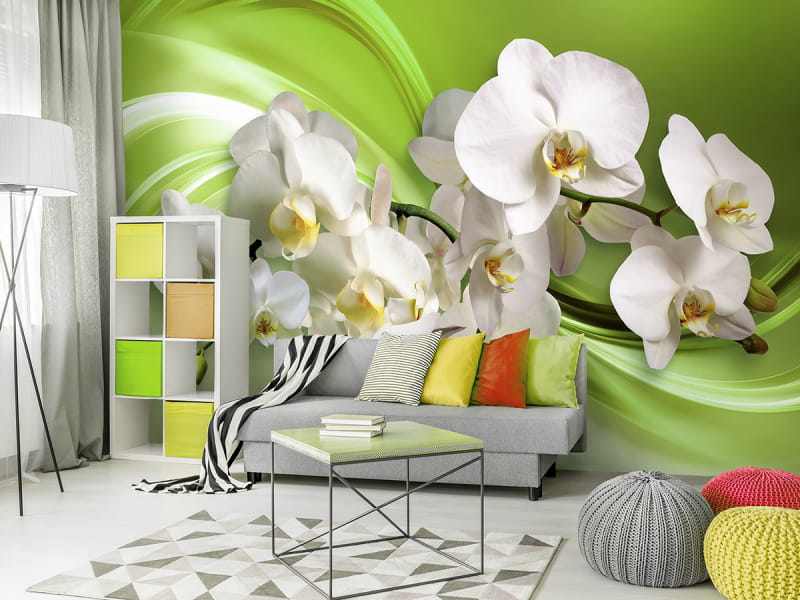 Fototapeta Orchideen auf grünem Hintergrund we wnętrzu salonu