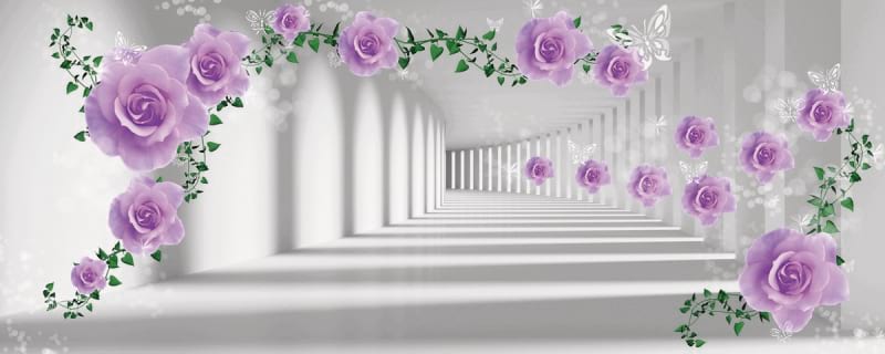 Fototapeta Lila Rosen im Flur