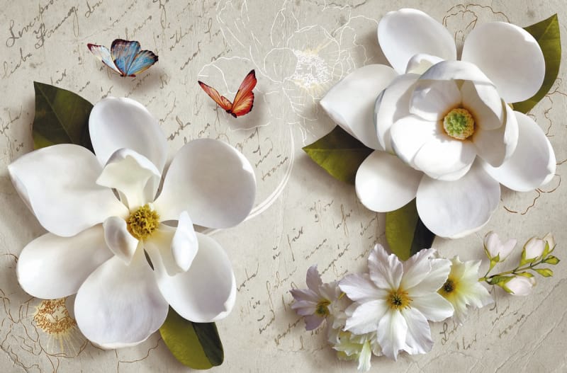 Fototapeta Weiße Magnolie 3D