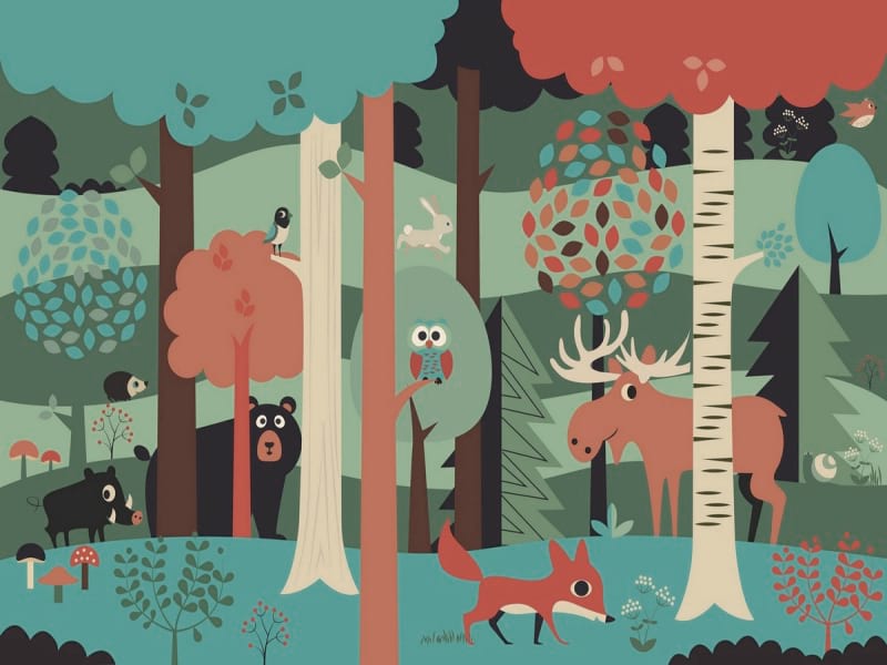 Fototapeta Tiere im geheimnisvollen Wald