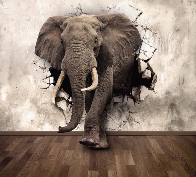 Fototapeta Mächtiger Elefant