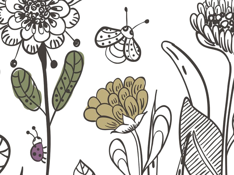 Fototapeta Wiesenblumen zeichnen fragment # 1