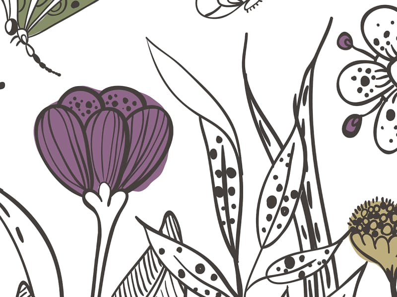 Fototapeta Wiesenblumen zeichnen fragment #2