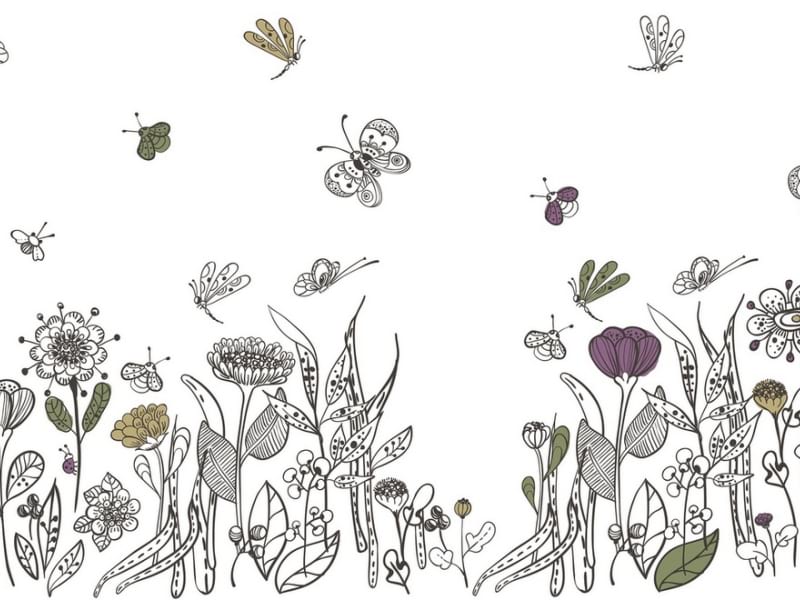 Fototapeta Wiesenblumen zeichnen
