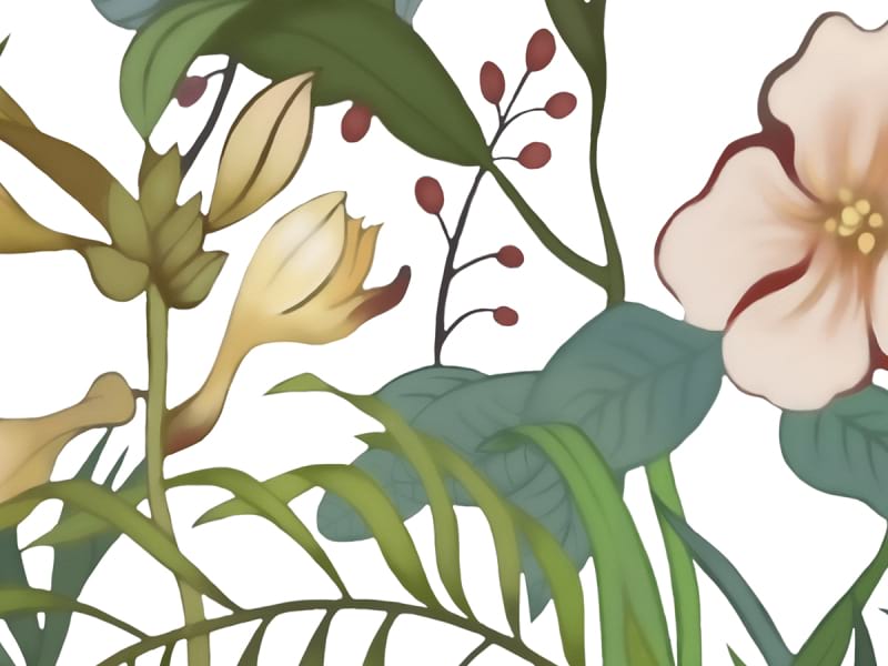 Fototapeta Unbefleckte Wildblumen fragment # 1