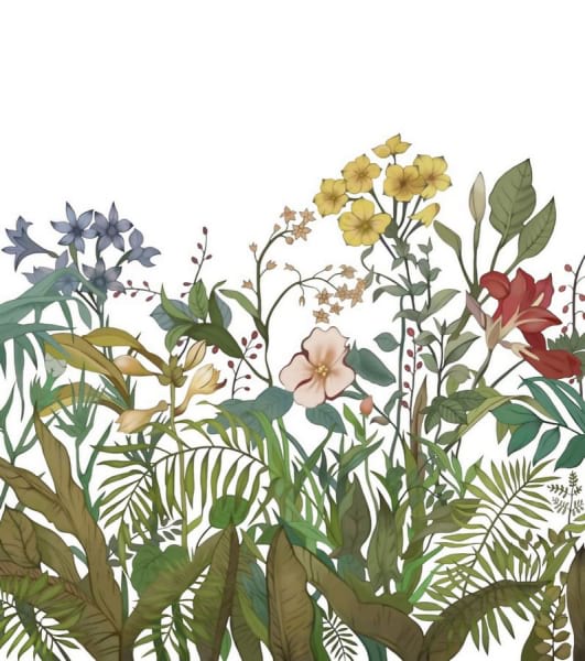Fototapeta Unbefleckte Wildblumen